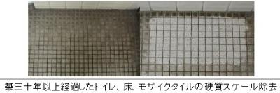 パシカ タイル・石材の硬質スケール速攻の反応型除去洗浄剤 MZ-443L パシカ