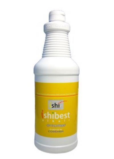 �����٥��ȥ��륫�� ��������