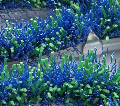 ���껺�ȡ���˥��꡼��ޥå� ���껺��